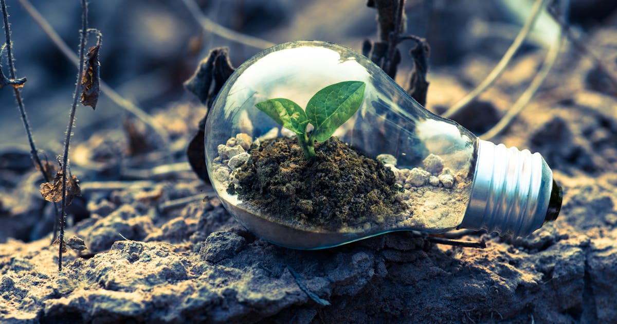 Nashville clay soil foundation preparation for concrete driveway installation